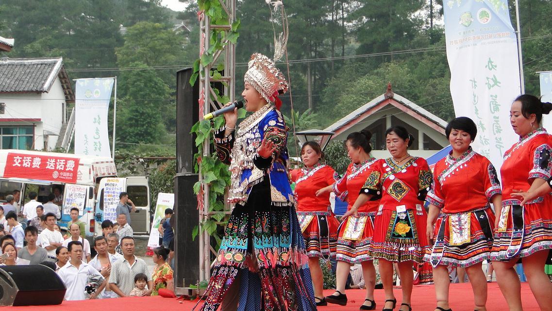 息烽葡萄節(jié)